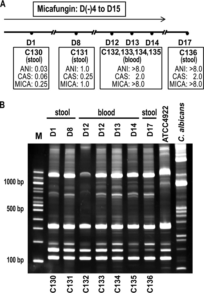 FIG 4