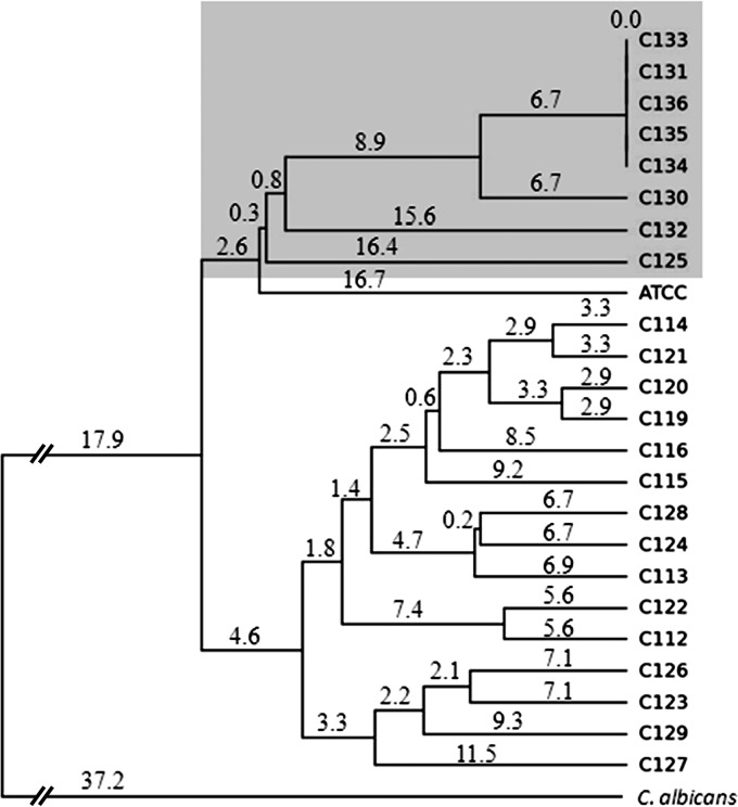 FIG 1