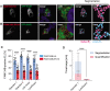 FIGURE 6: