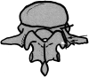 F<sc>ig</sc> 5.