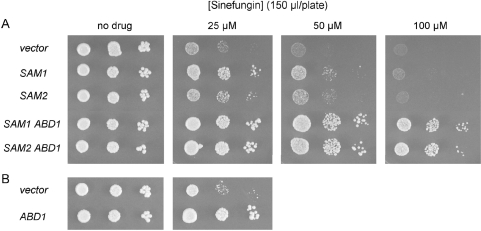 Figure 7.