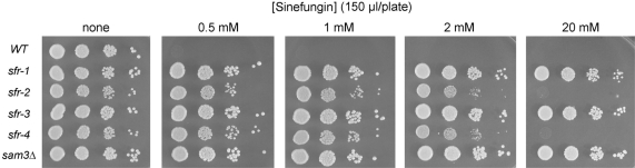 Figure 3.