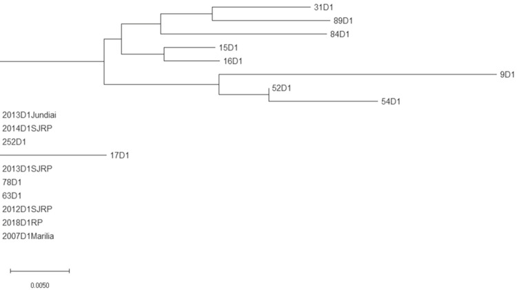 Figure 6