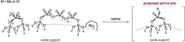 Scheme 5