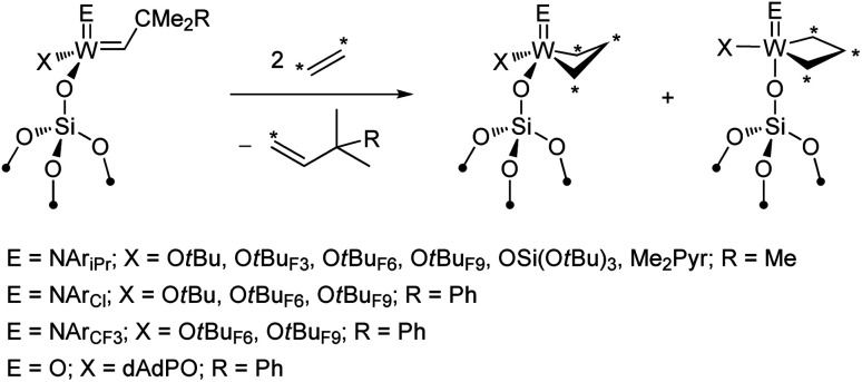 Scheme 2