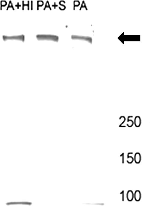 FIG. 5.