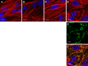 FIG. 4.