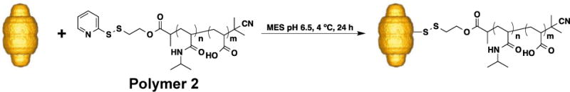 Scheme 3