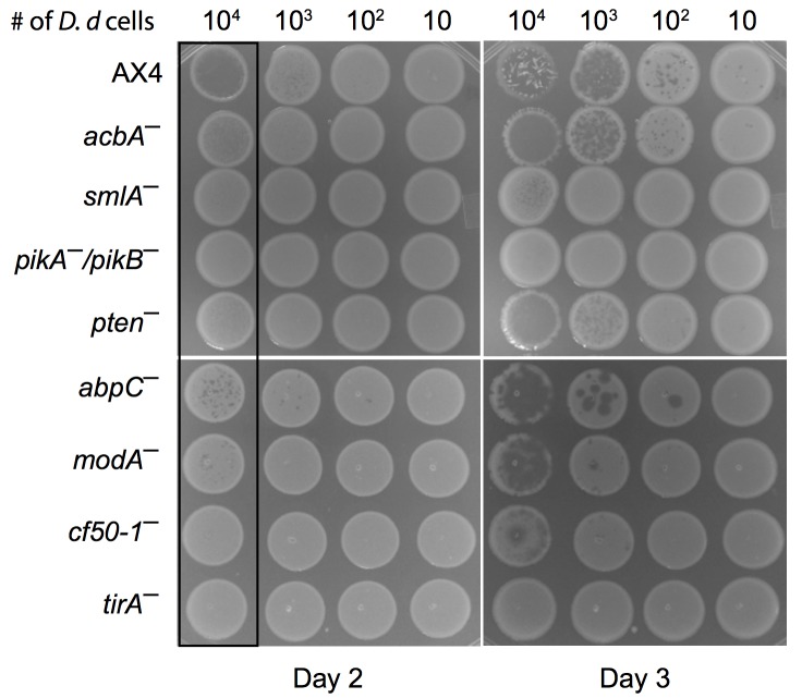 Fig 3