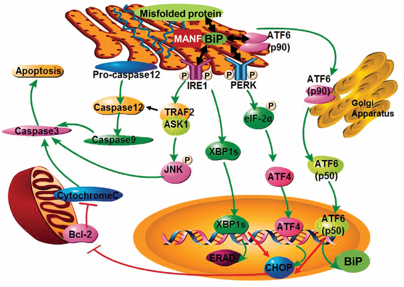 Figure 1: