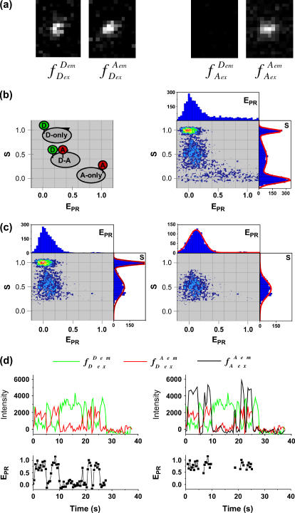 FIGURE 3