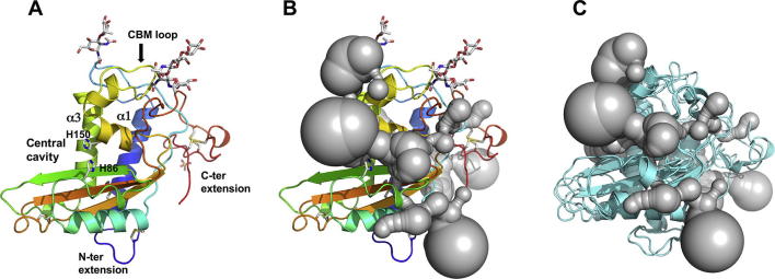 Supplementary Fig. 1