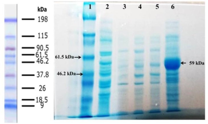 Fig. 3