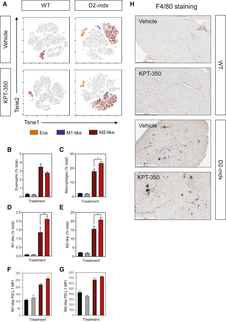 Figure 6