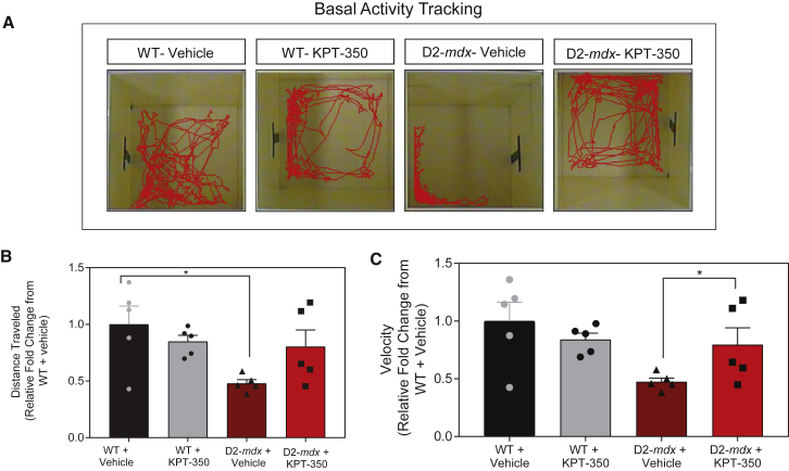 Figure 4