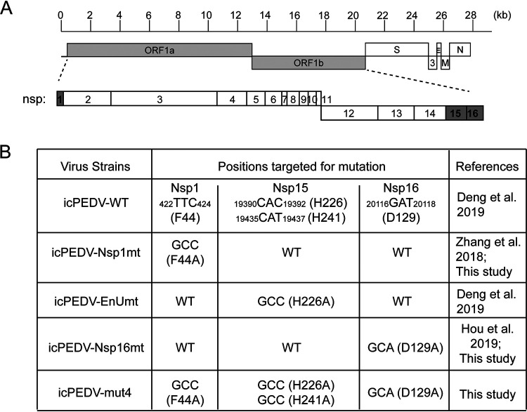 FIG 1