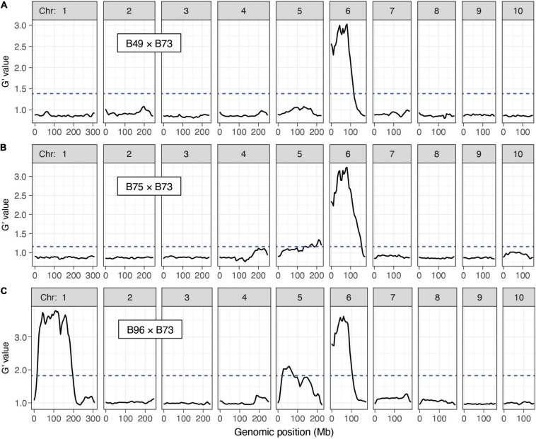 FIGURE 4