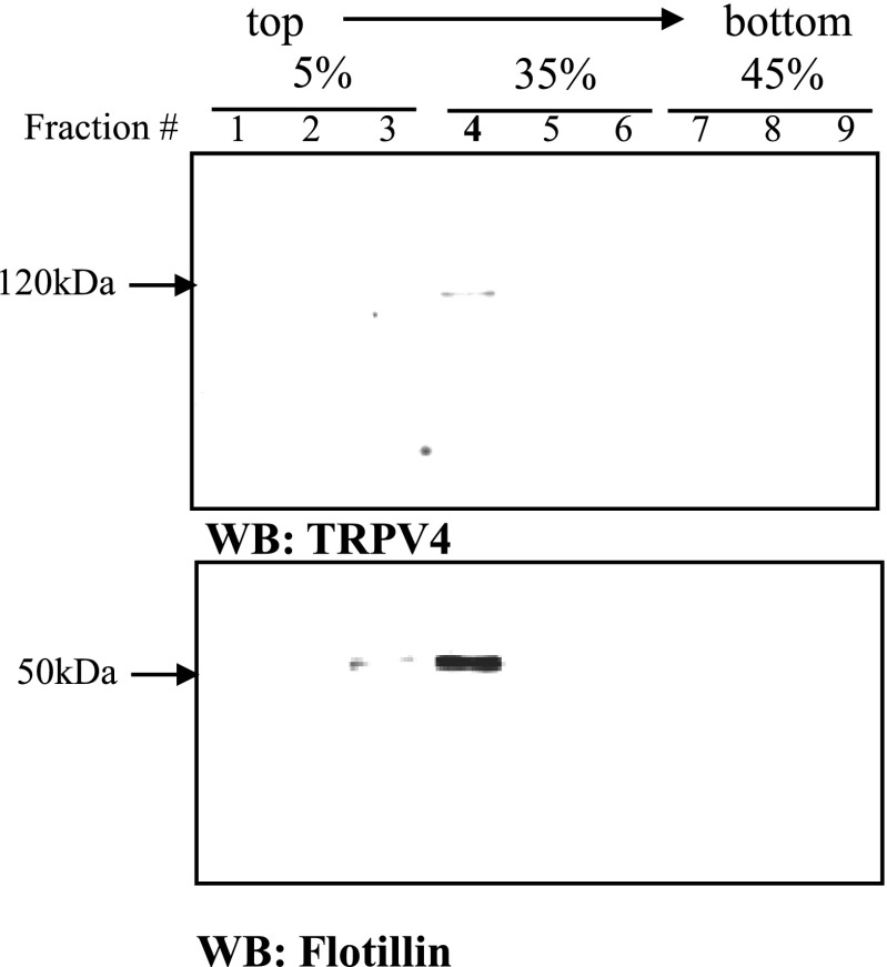 Fig. 10.