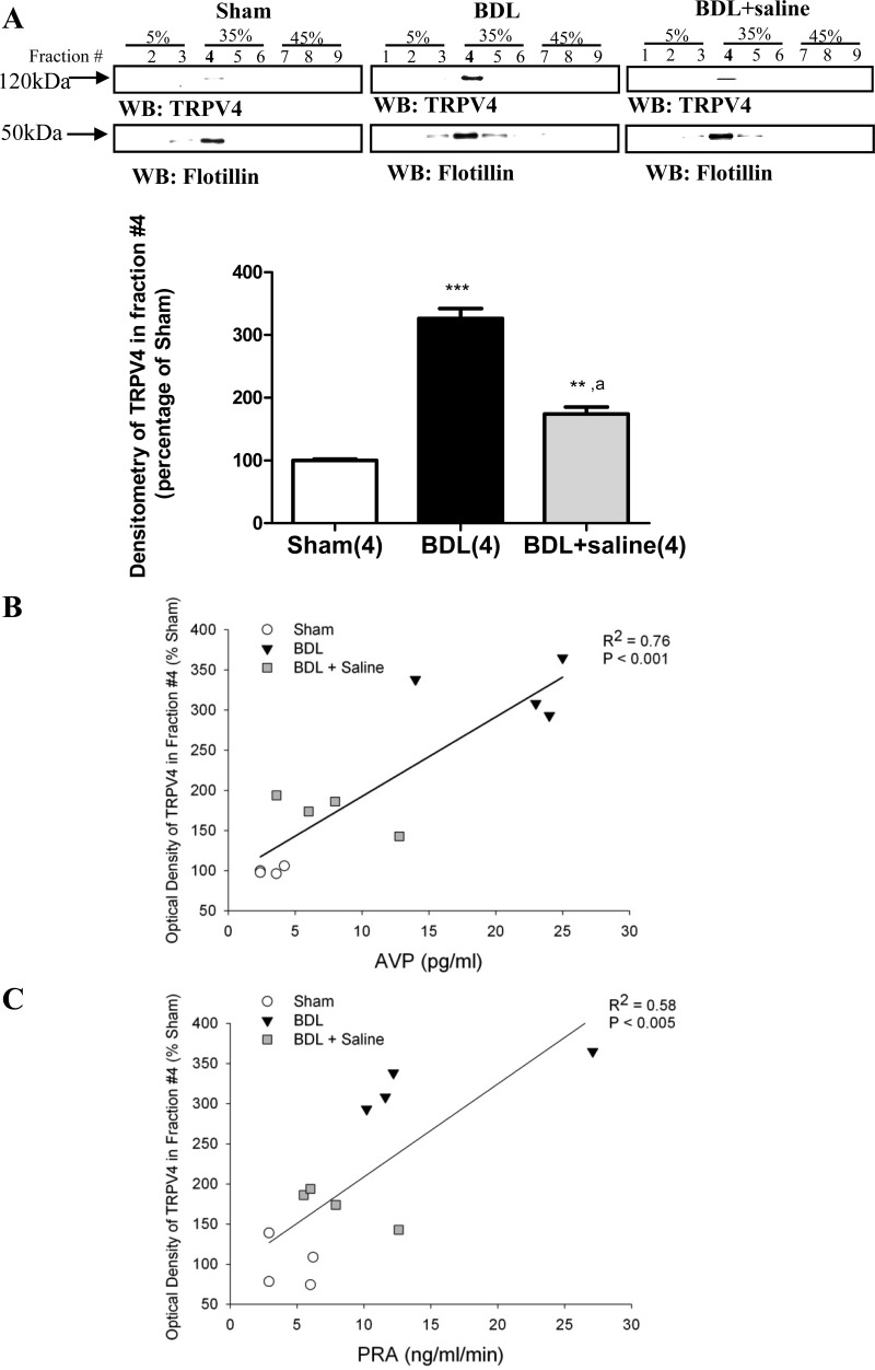 Fig. 11.