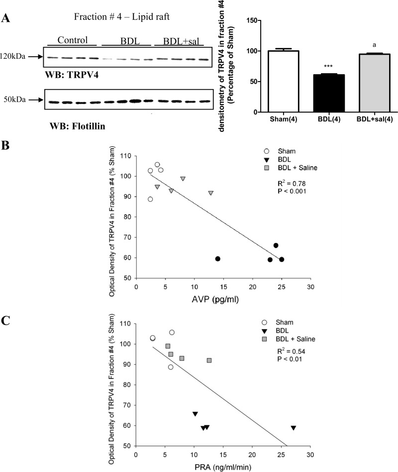 Fig. 12.