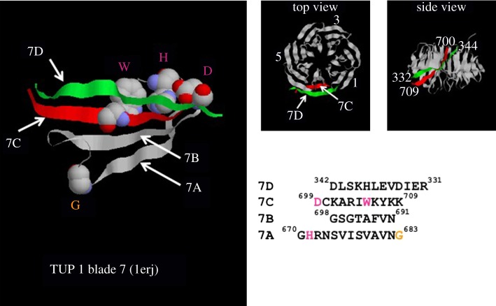 Figure 2.