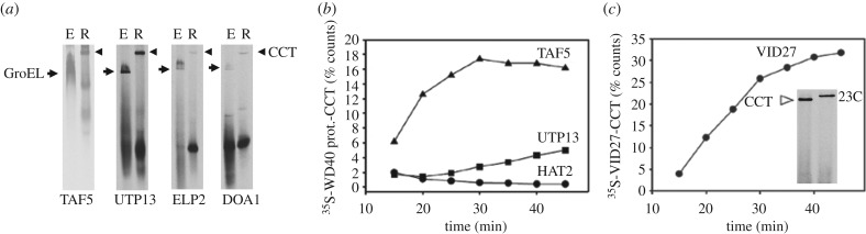 Figure 3.