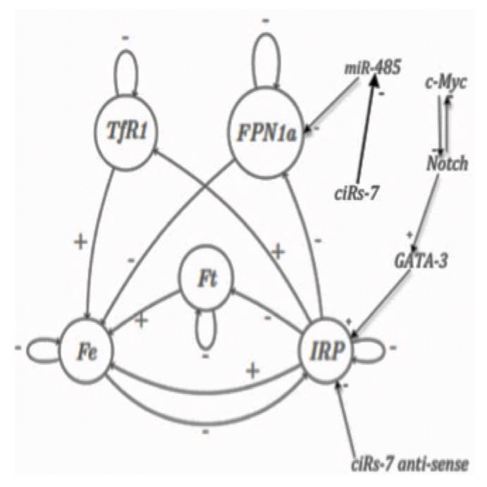 Figure 5