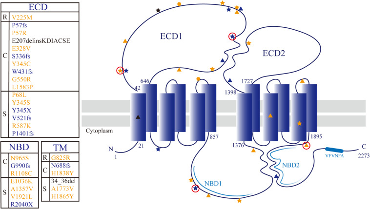 FIGURE 3