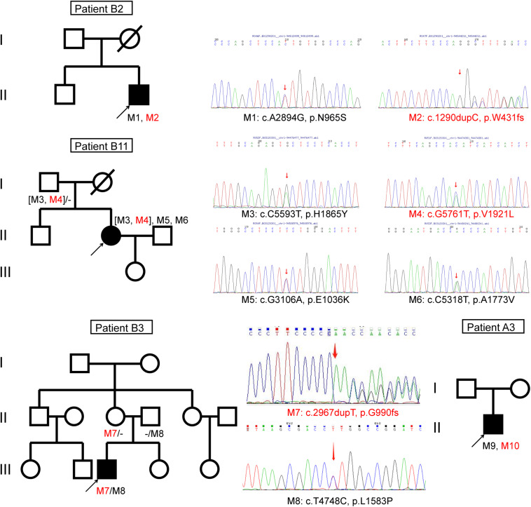 FIGURE 4