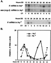 FIG. 2.