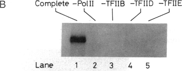 graphic file with name pnas01053-0046-a.jpg