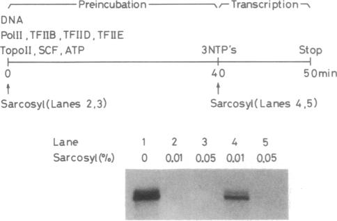 graphic file with name pnas01053-0047-a.jpg