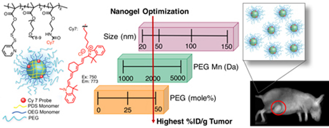 graphic file with name nihms-991960-f0001.jpg