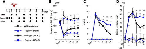 Figure 7.