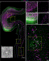 Extended Data Fig. 9 |