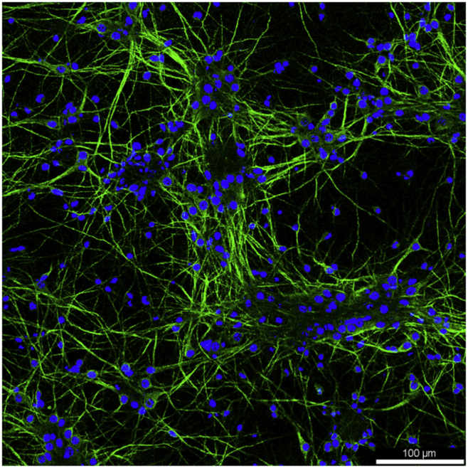 Figure 3