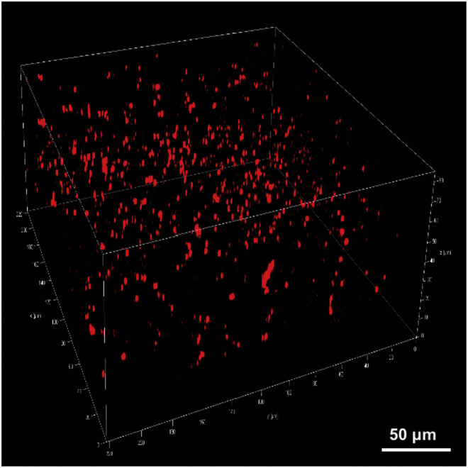 Figure 21