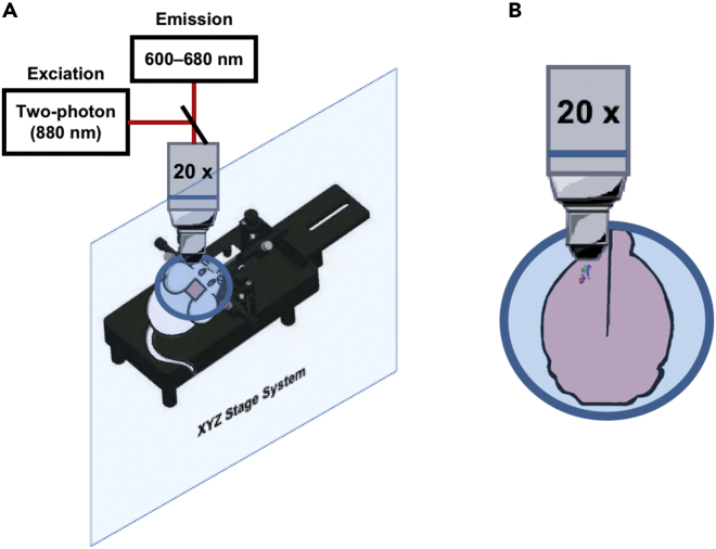 Figure 19