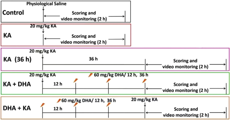 Figure 11