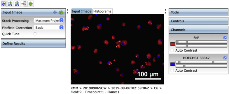 Figure 4