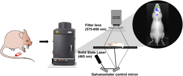 Figure 18