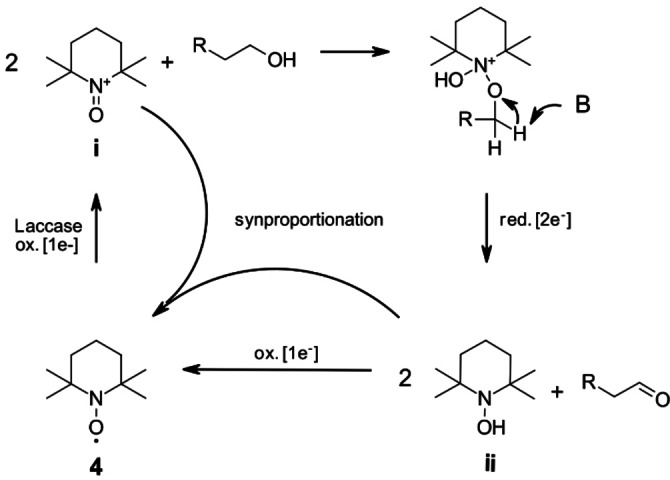 Scheme 2