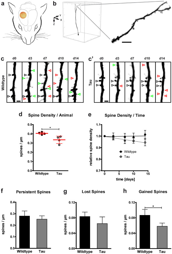 Figure 1