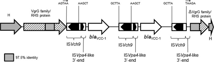 FIG 1