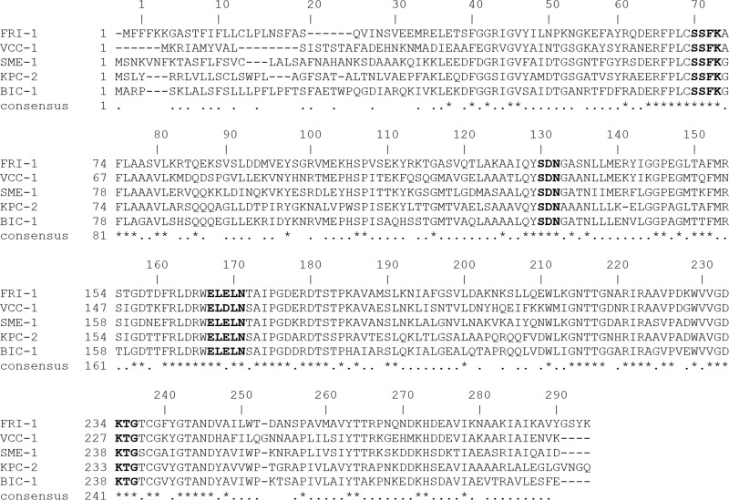 FIG 3