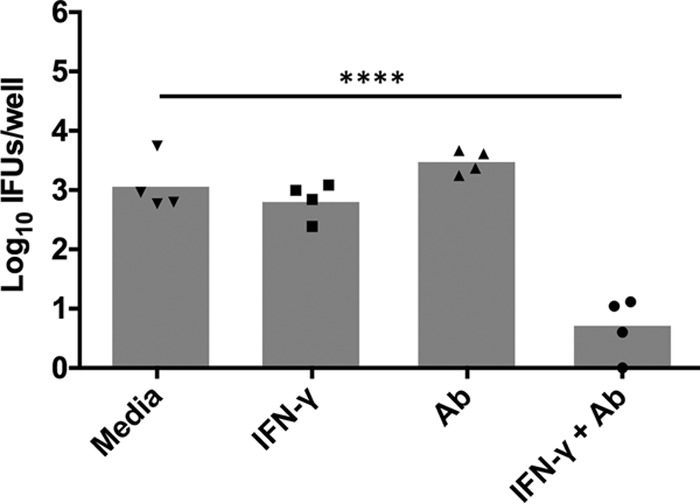 FIG 9