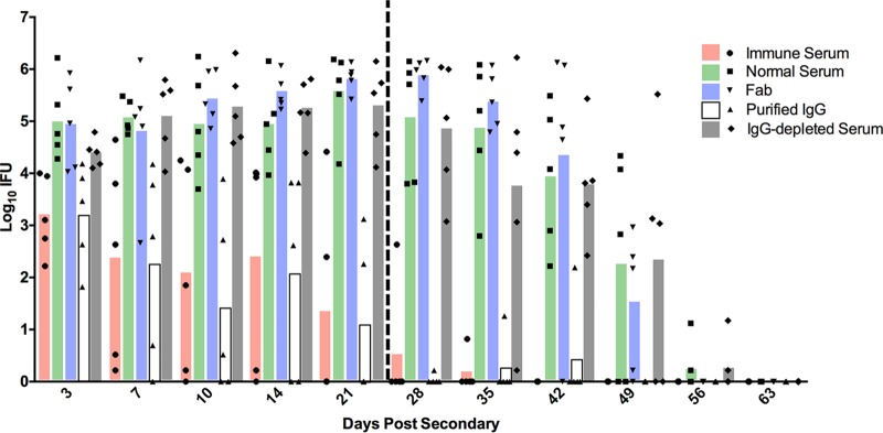 FIG 1