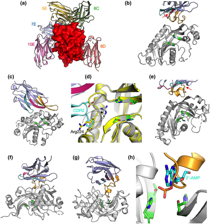 FIGURE 3