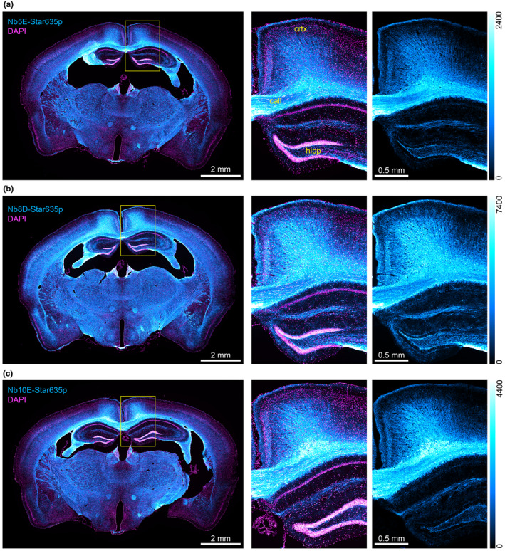 FIGURE 7