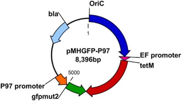 Figure 3